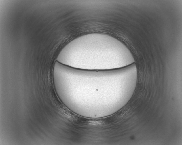 X0000061120457200512022157