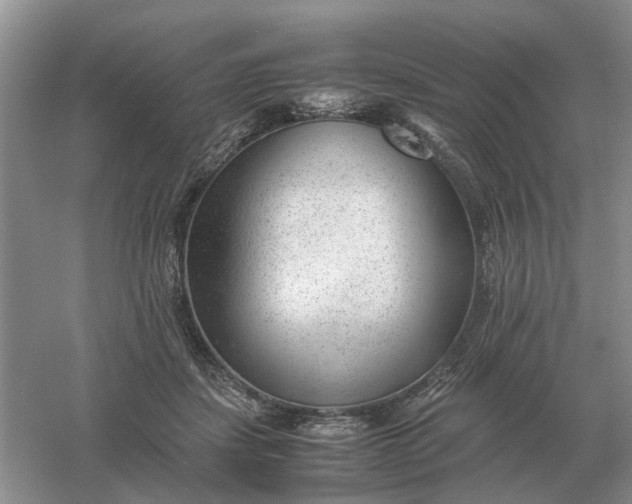 X0000061120459200512022157