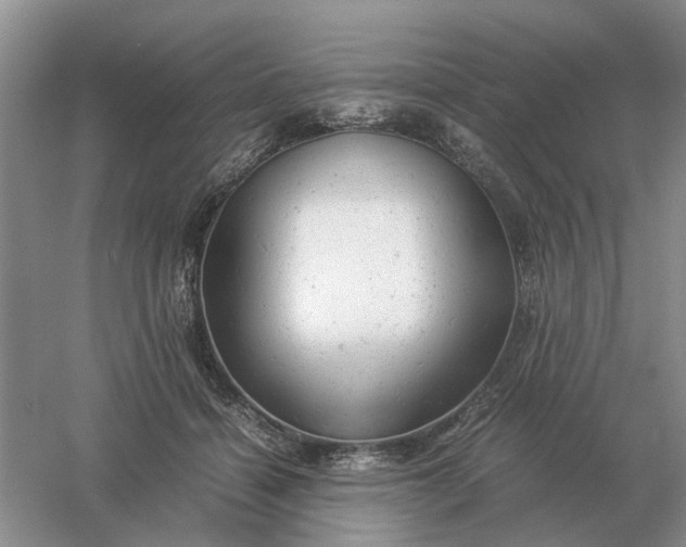 X0000061120460200512022157