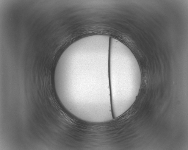 X0000061120461200512022157