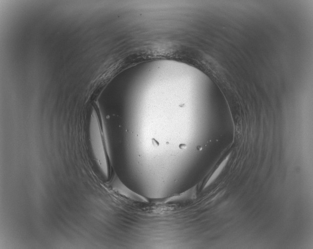 X0000061120462200512022157