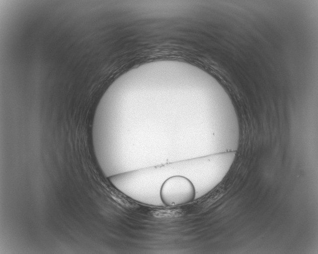 X0000061120465200512022157