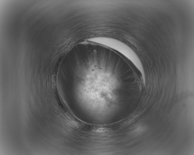 X0000061120467200512022157