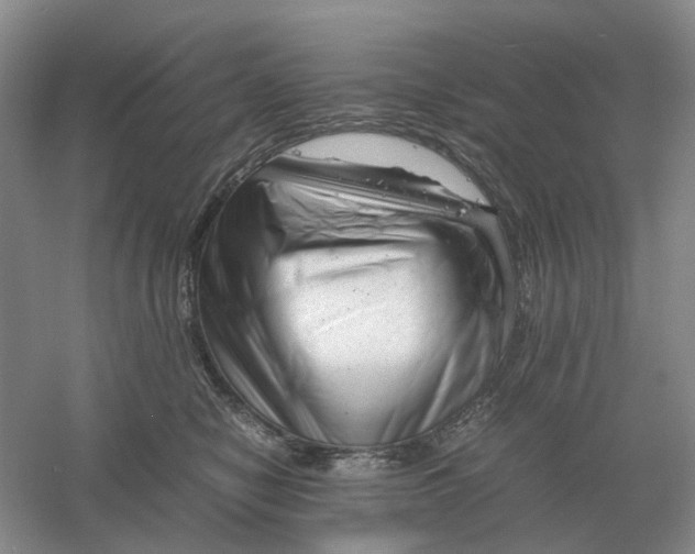 X0000061120470200512022157