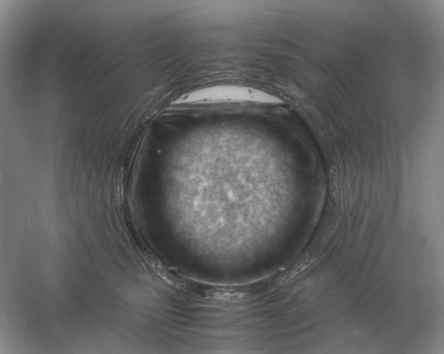 X0000061120471200512022157