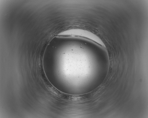 X0000061120472200512022157