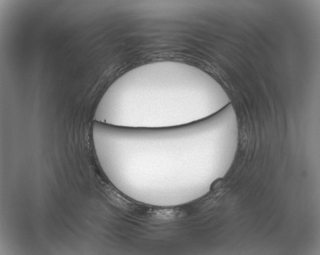 X0000061120473200512022157