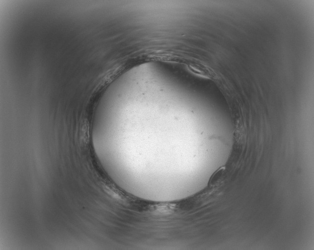 X0000061120474200512022157