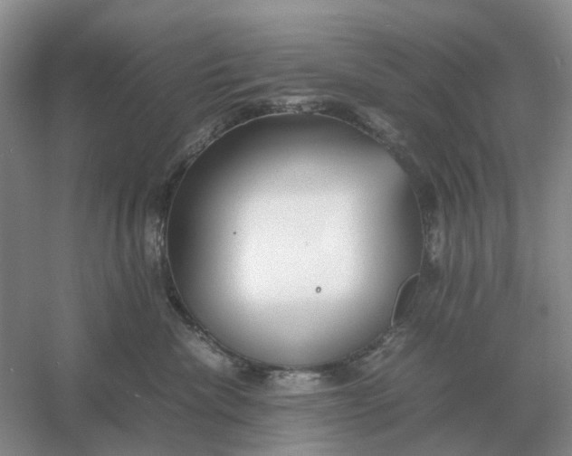 X0000061120476200512022157