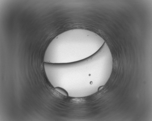 X0000061120477200512022157