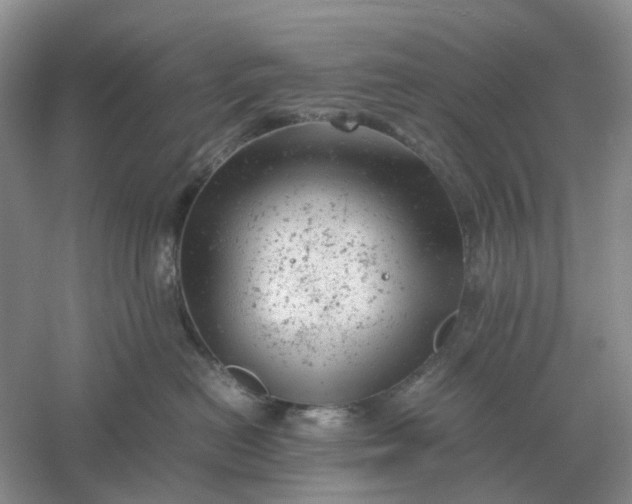 X0000061120478200512022157