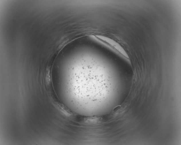 X0000061120479200512022157