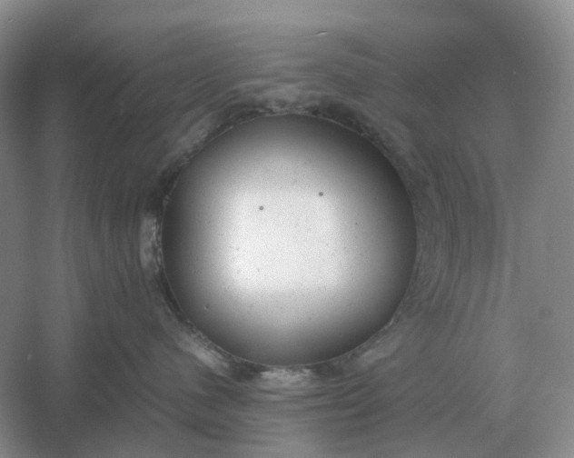 X0000061120480200512022157