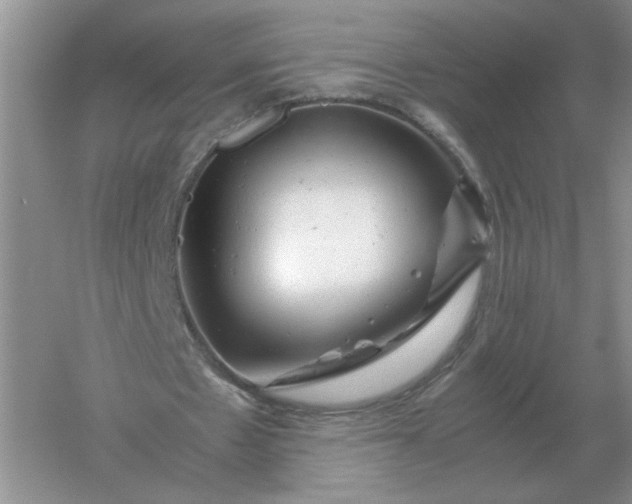 X0000061120481200512022156