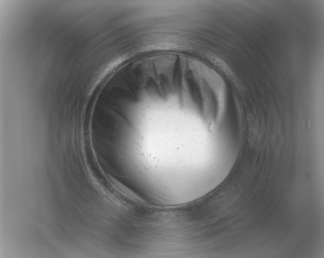 X0000061120482200512022156