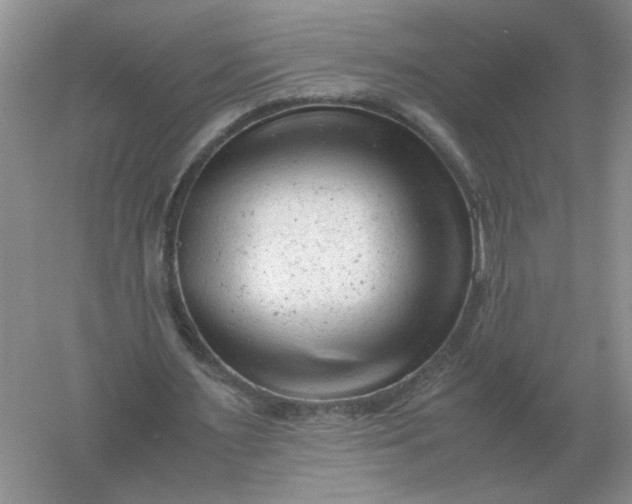 X0000061120483200512022156