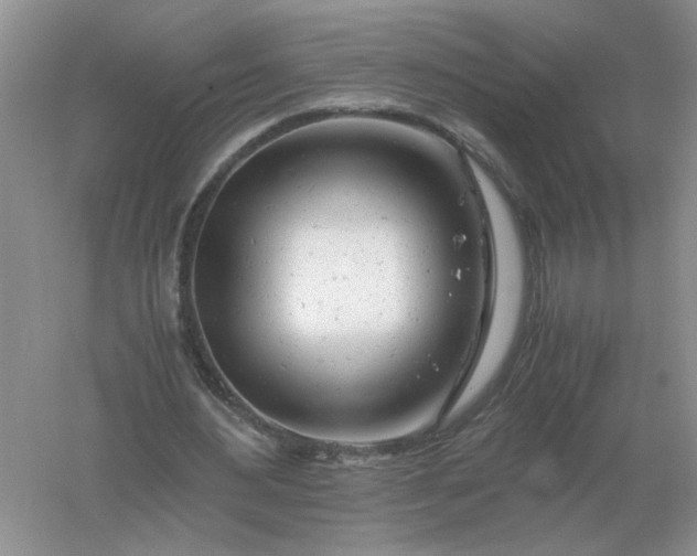 X0000061120484200512022156