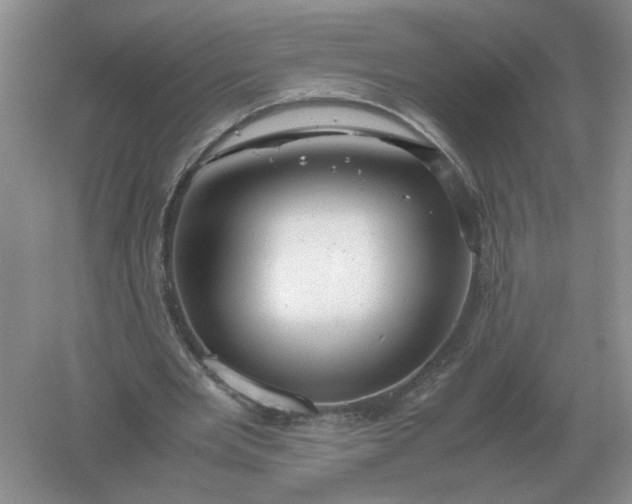 X0000061120485200512022156