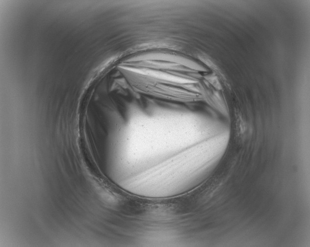 X0000061120486200512022156