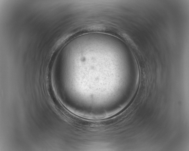 X0000061120487200512022156