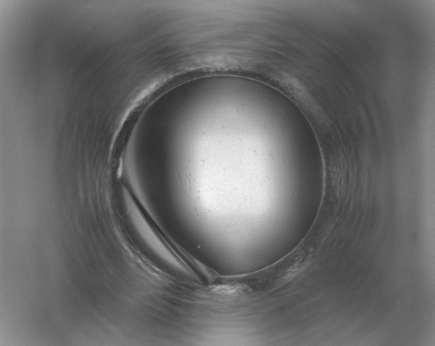 X0000061120488200512022156