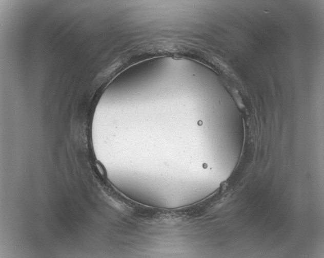 X0000061120489200512022156