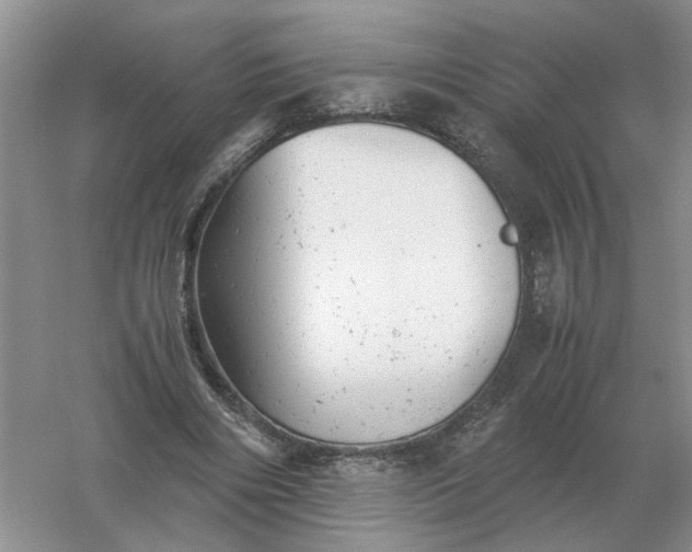 X0000061120490200512022156