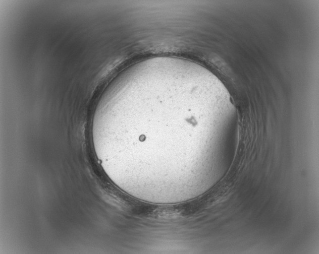 X0000061120491200512022156