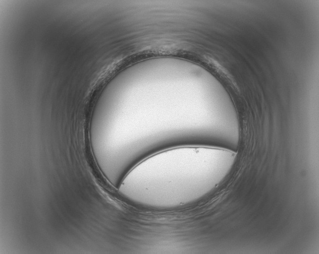 X0000061120493200512022156