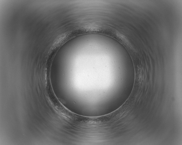 X0000061120494200512022156