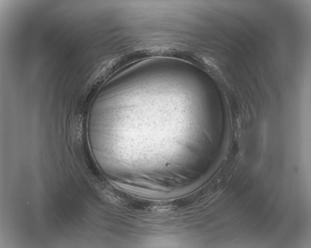 X0000061120495200512022156