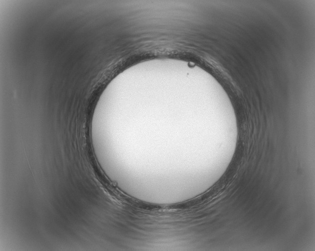 X0000061120497200512022156