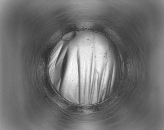 X0000061120498200512022156