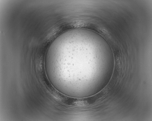 X0000061120499200512022156