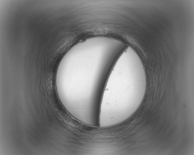 X0000061120501200512022156