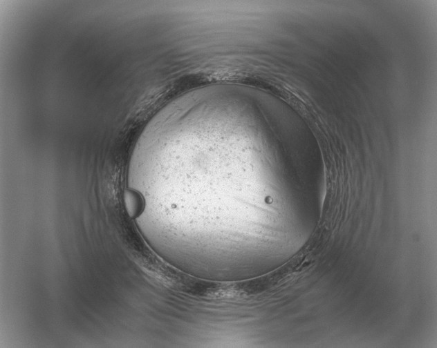 X0000061120503200512022156