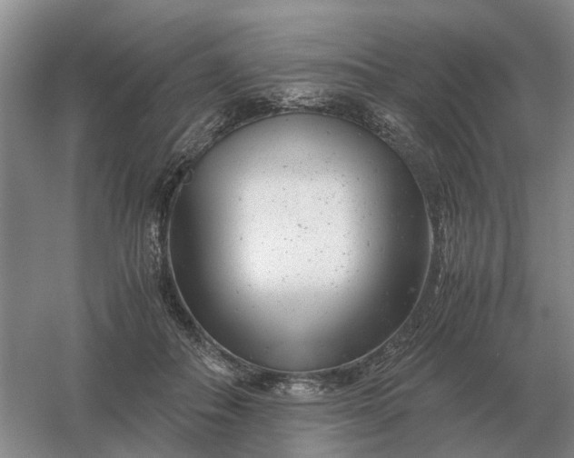 X0000061120506200512022156