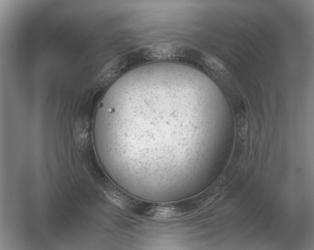 X0000061120507200512022156