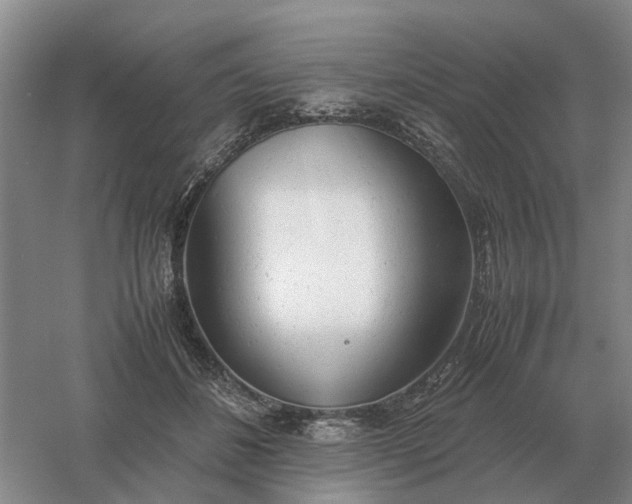 X0000061120508200512022156