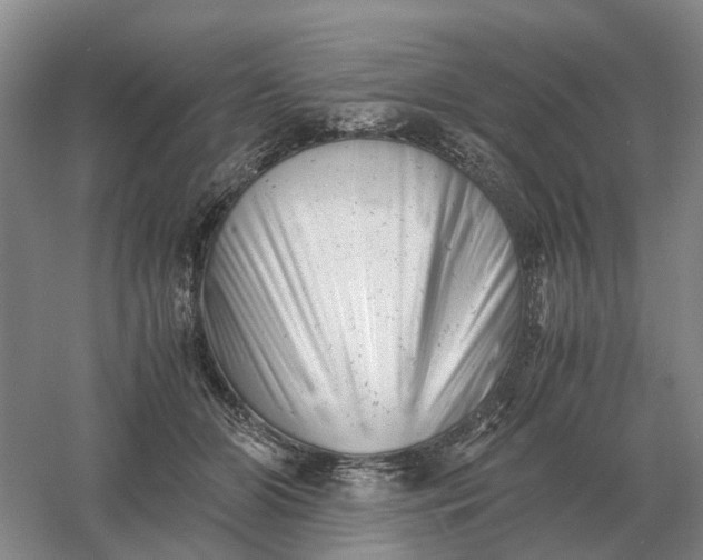 X0000061120510200512022156