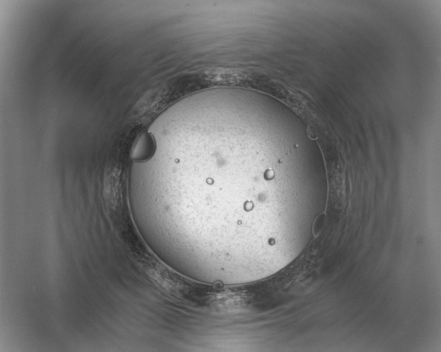 X0000061120511200512022156