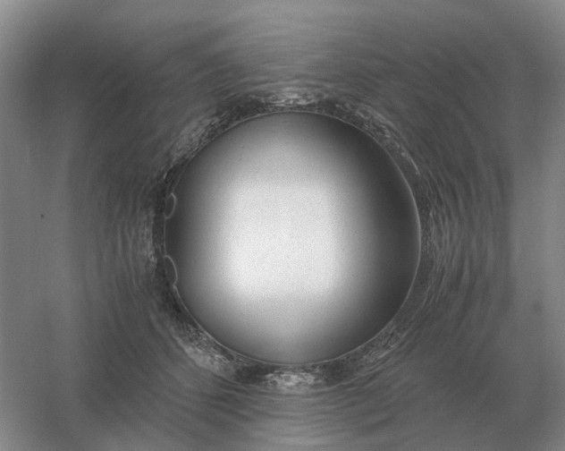 X0000061120512200512022156