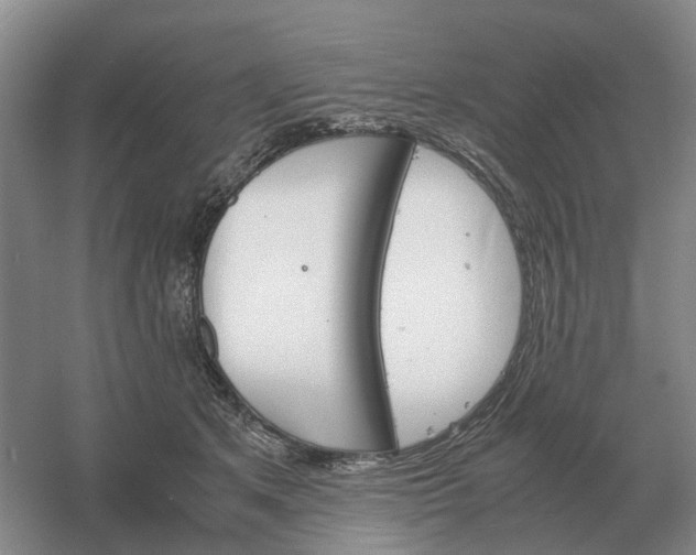 X0000061120513200512022156