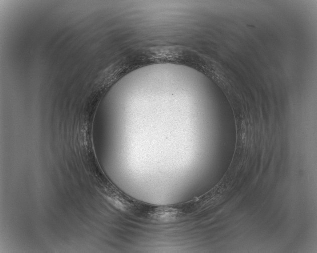 X0000061120514200512022156