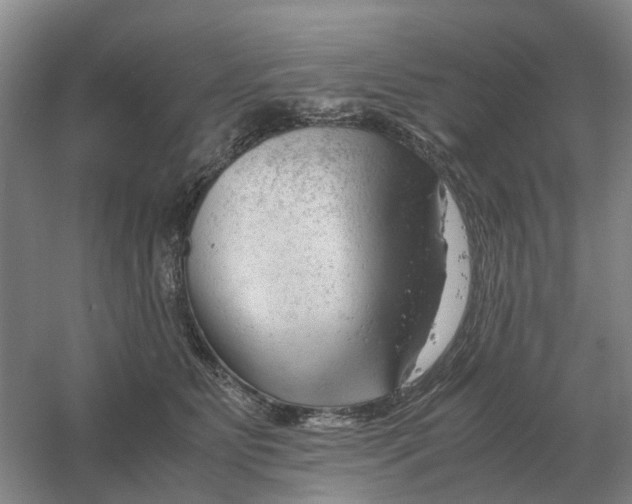 X0000061120515200512022156