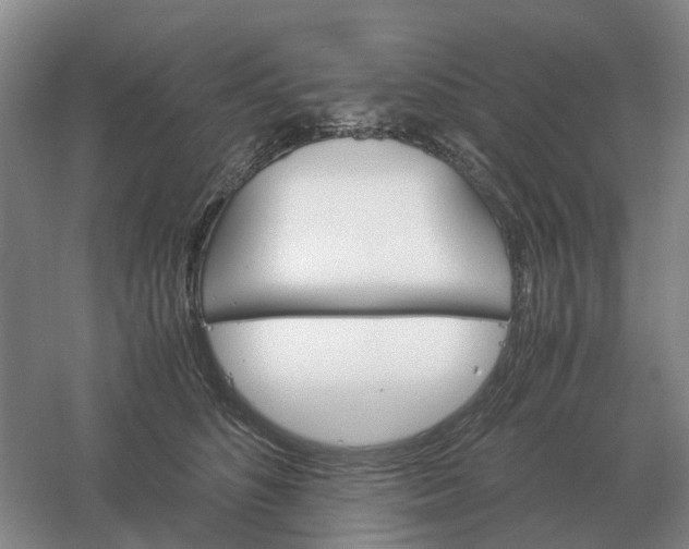 X0000061120516200512022156