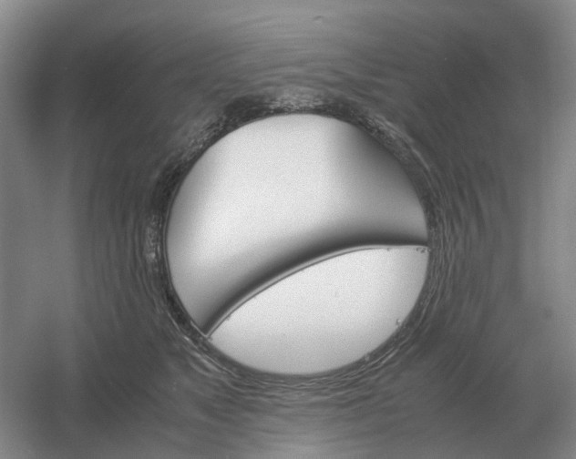 X0000061120517200512022156