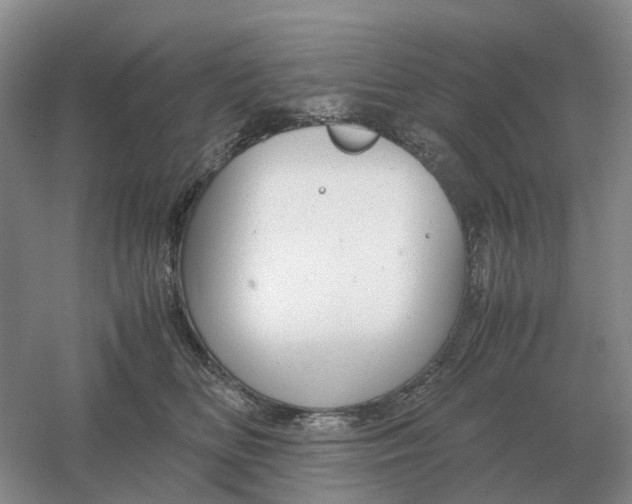 X0000061120518200512022156