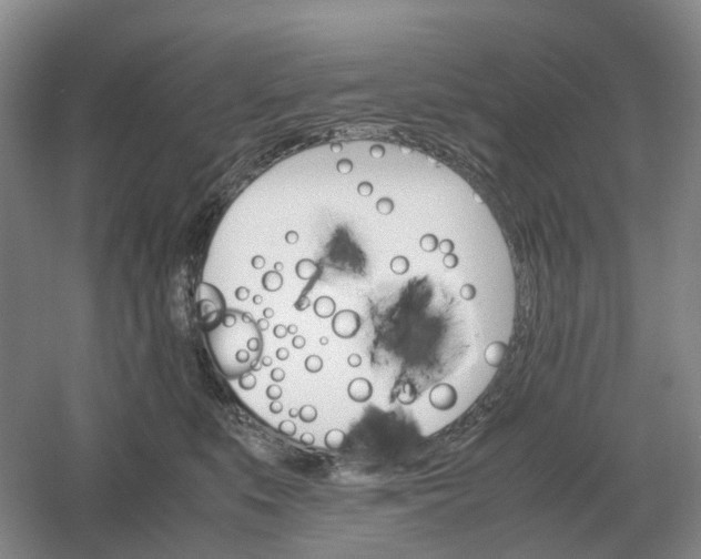 X0000061120519200512022156