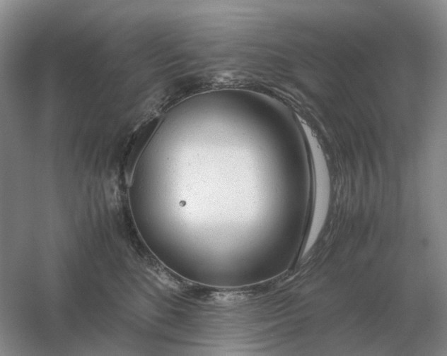 X0000061120520200512022156